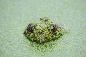 Don't let a policy exclusion sneak up on you