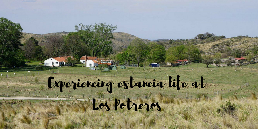 Experiencing estancia life at Los Potreros