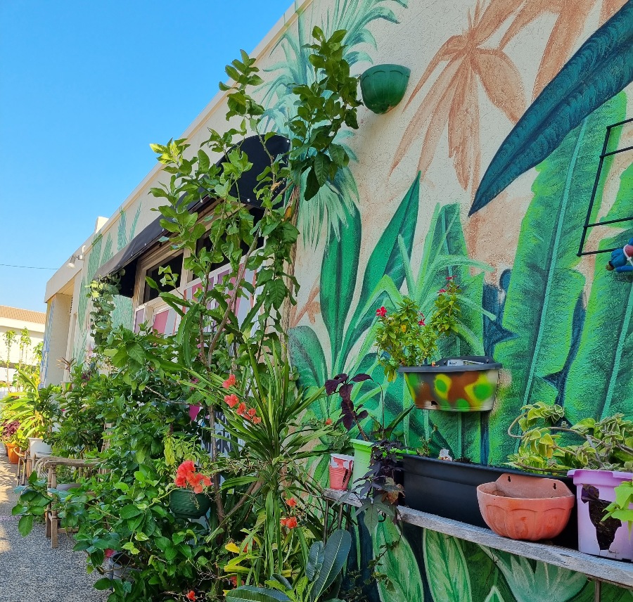 Plant cafe
