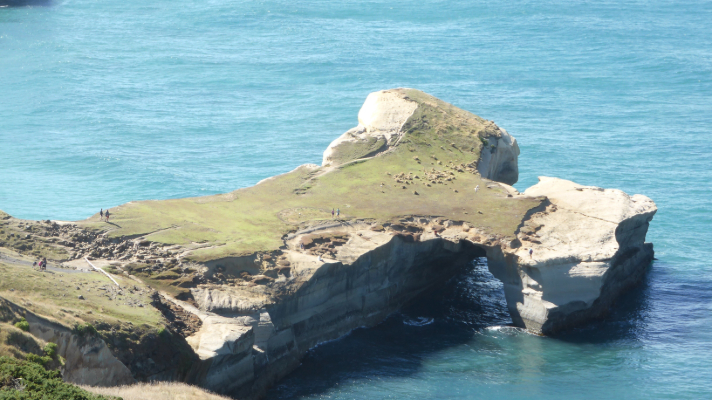 Tunnel beach New Zealand