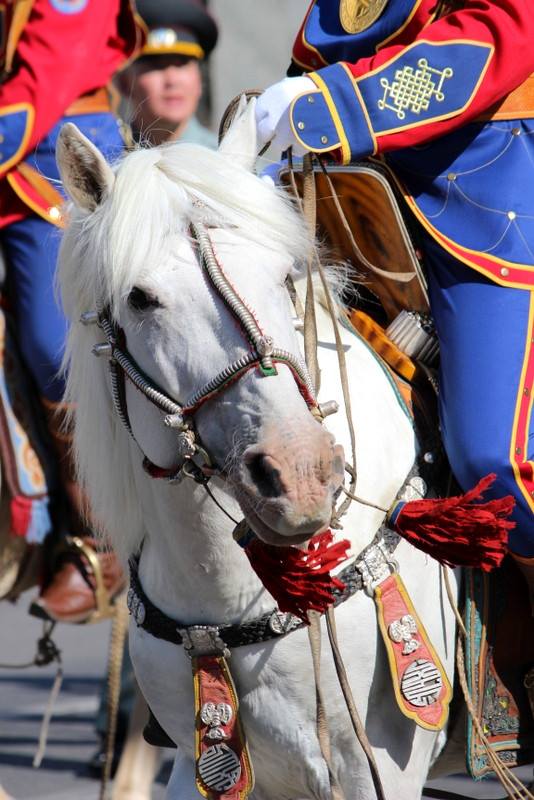 Celebrating Nadaam in Ulaanbaatar, Mongolia