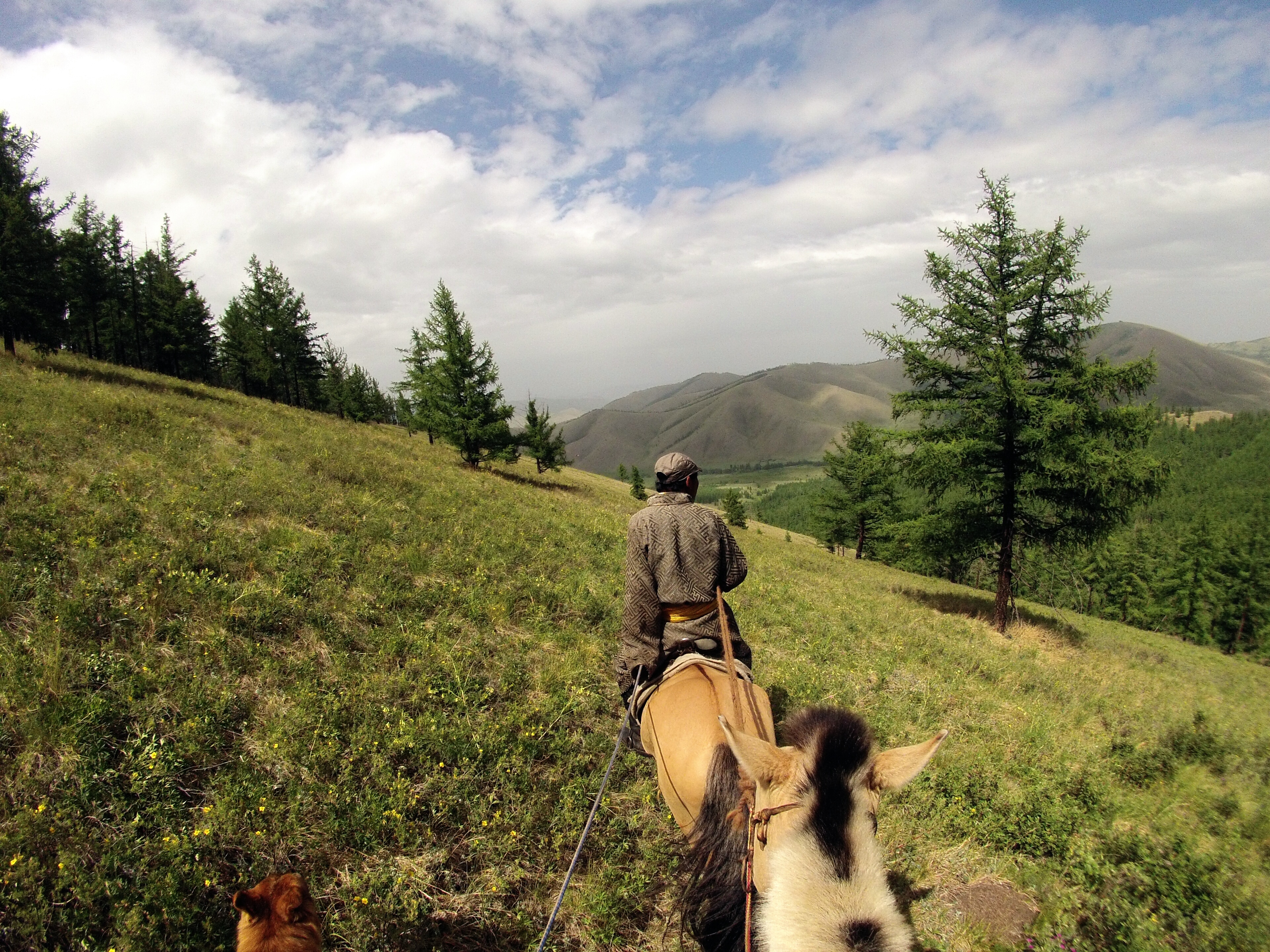 Glamping Ger style in Mongolia || Traveling Honeybird