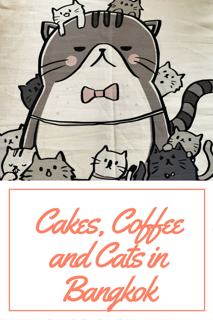 Cakes, Coffee and Cats in Bangkok