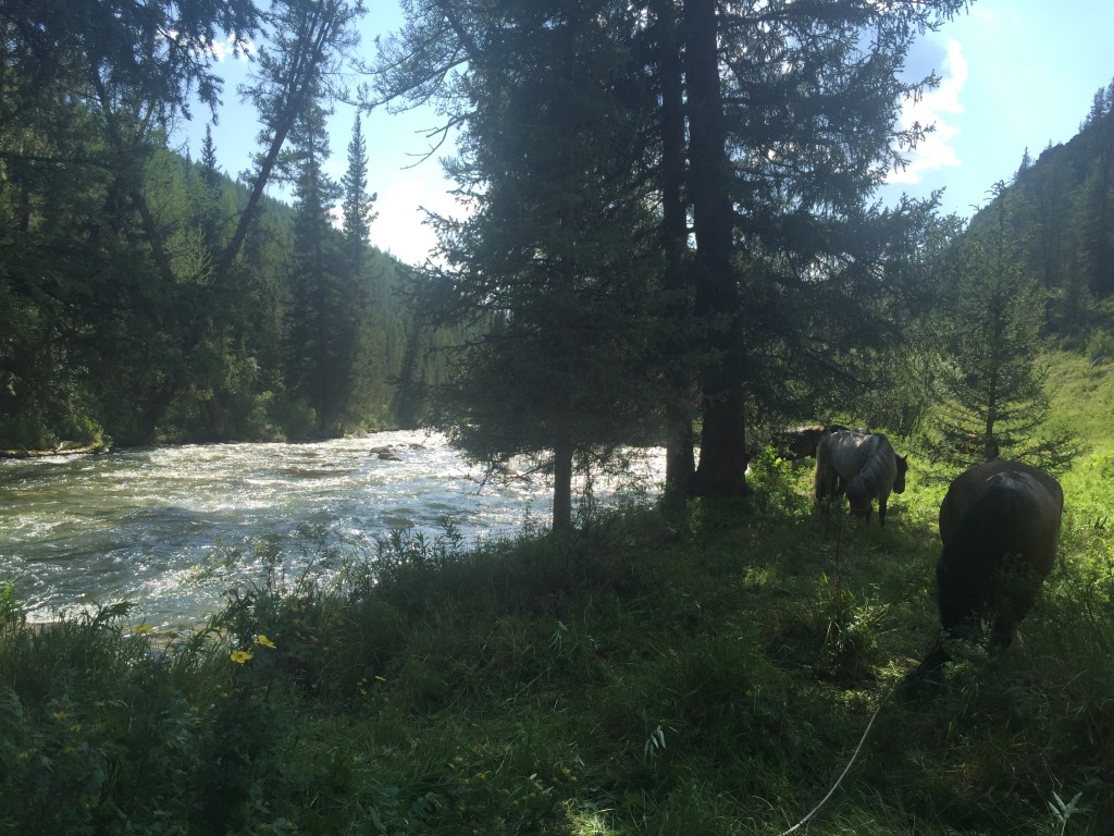 Swiftly flowing river. 