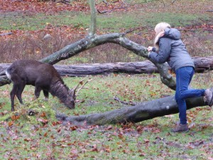 Teaching a deer to T-rex in my Exofficio undies.