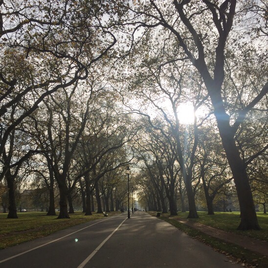 Walking along Hyde Park