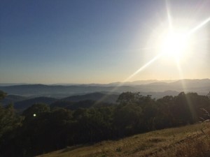 Sun rise King Valley Traveling Honeybird