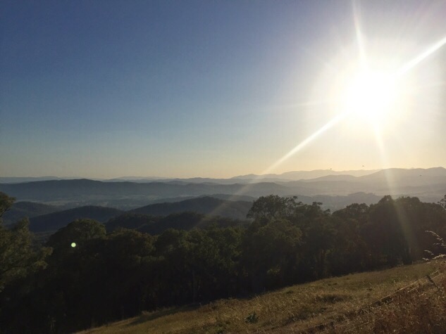 Sun rise King Valley Traveling Honeybird