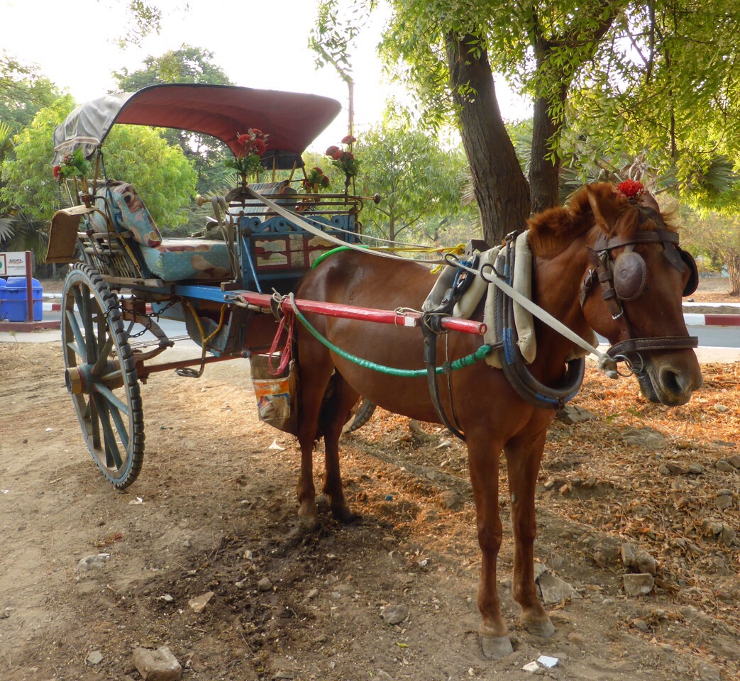 Pony express, Bagan