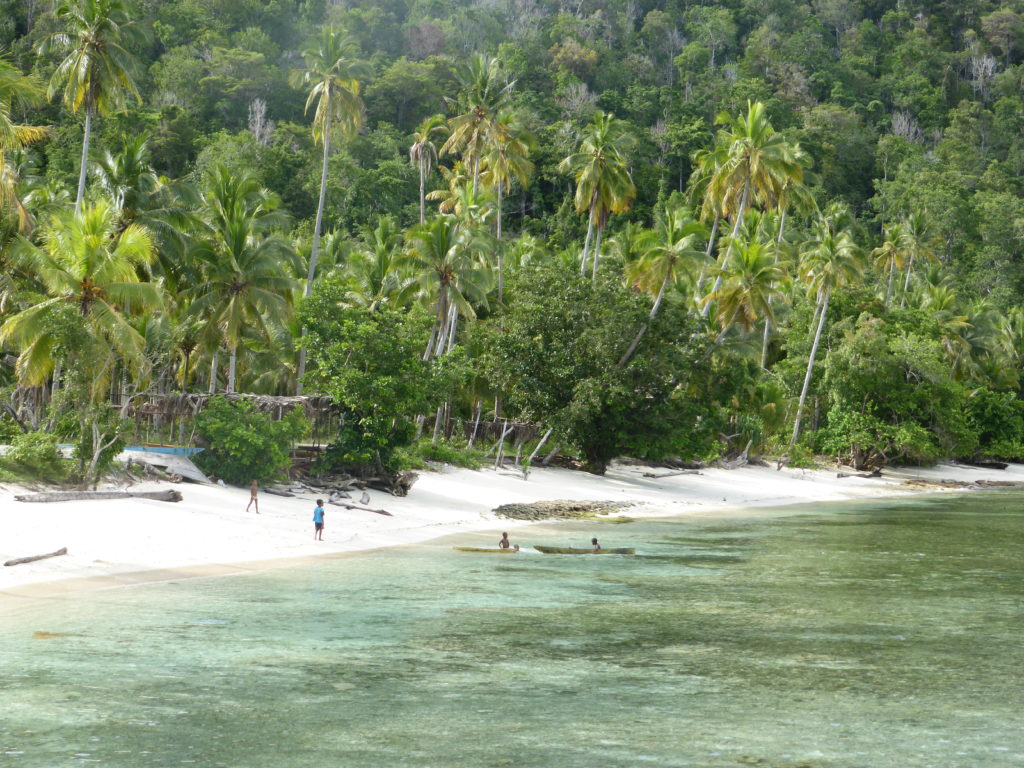 Raja Ampat beach