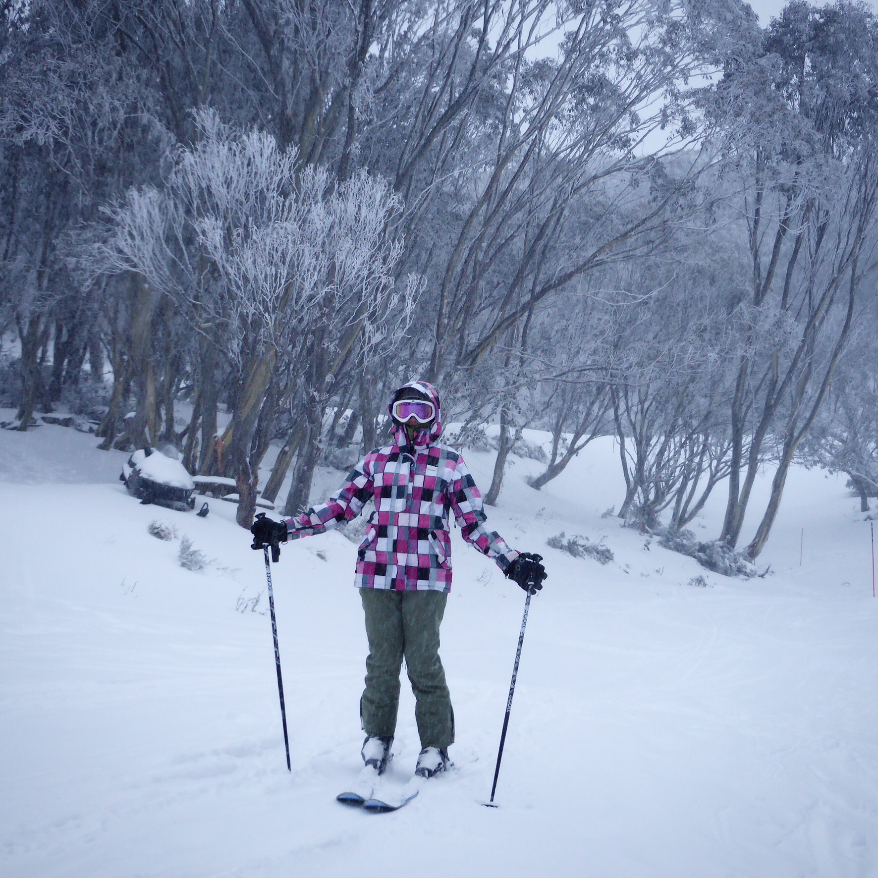 Ski time at Falls Creek, Traveling Honeybird