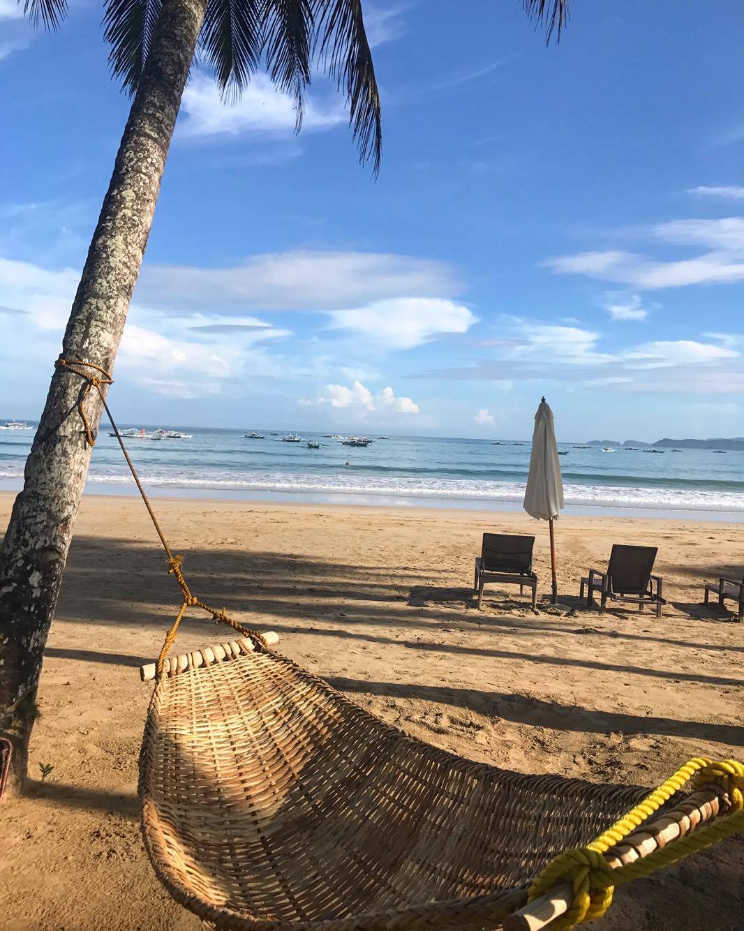 Palawan, Philippines Traveling Honeybird