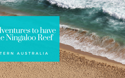 3 Adventures to have at the Ningaloo Reef, Western Australia