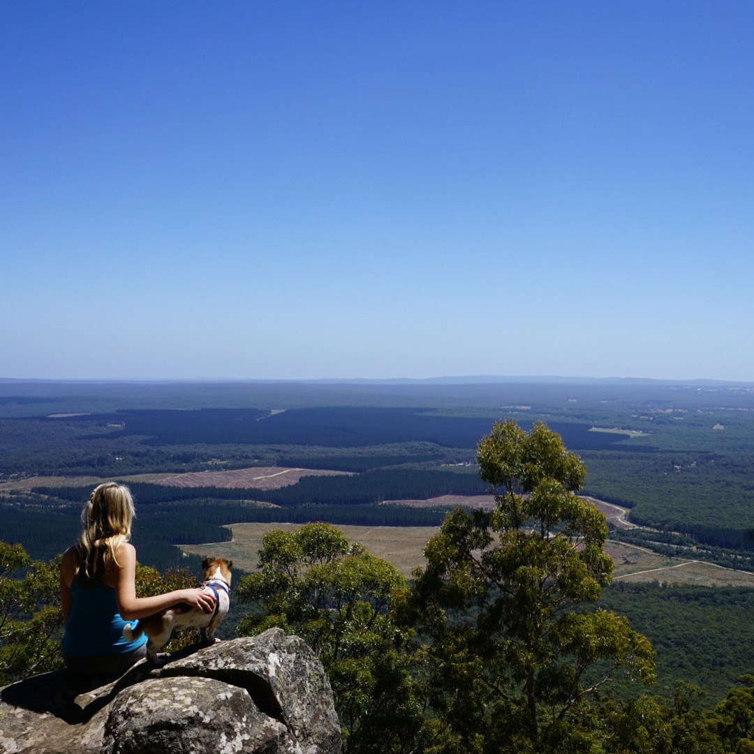 Hiking in Mountains Australia Hiking in Mountains Australia