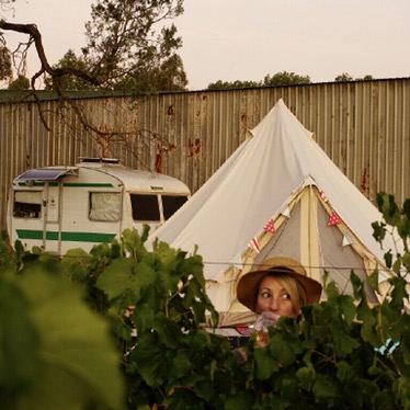 Glamping amongst the grapevines