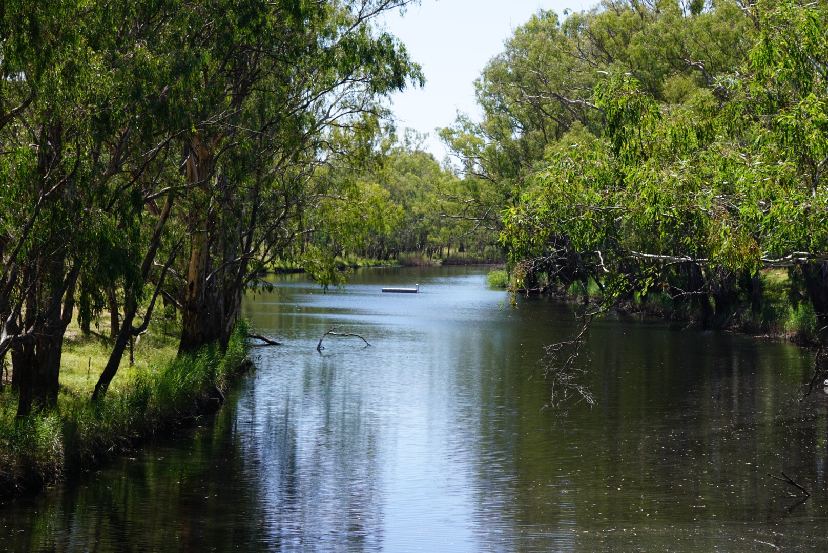Murray River