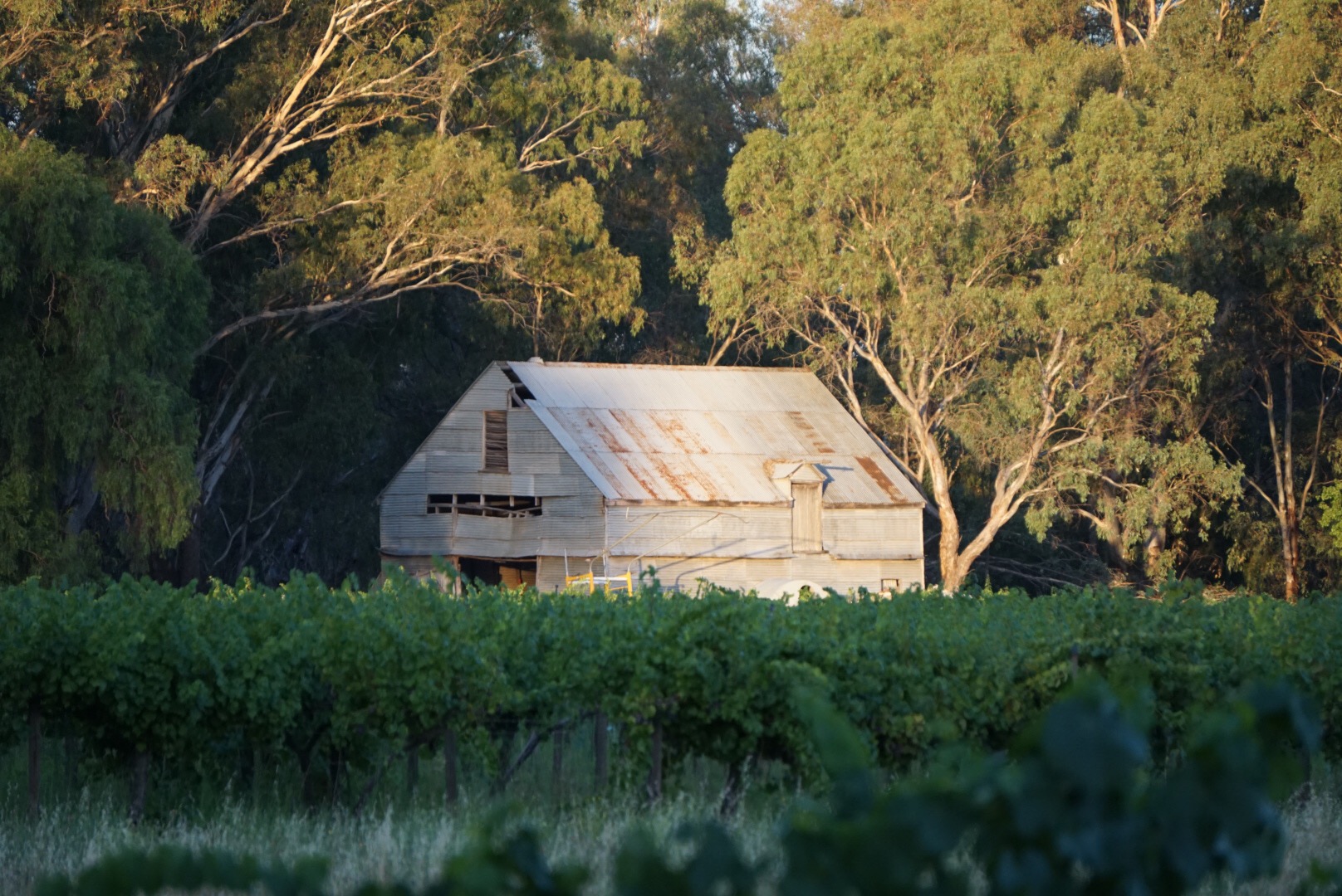 Old barn Old barn