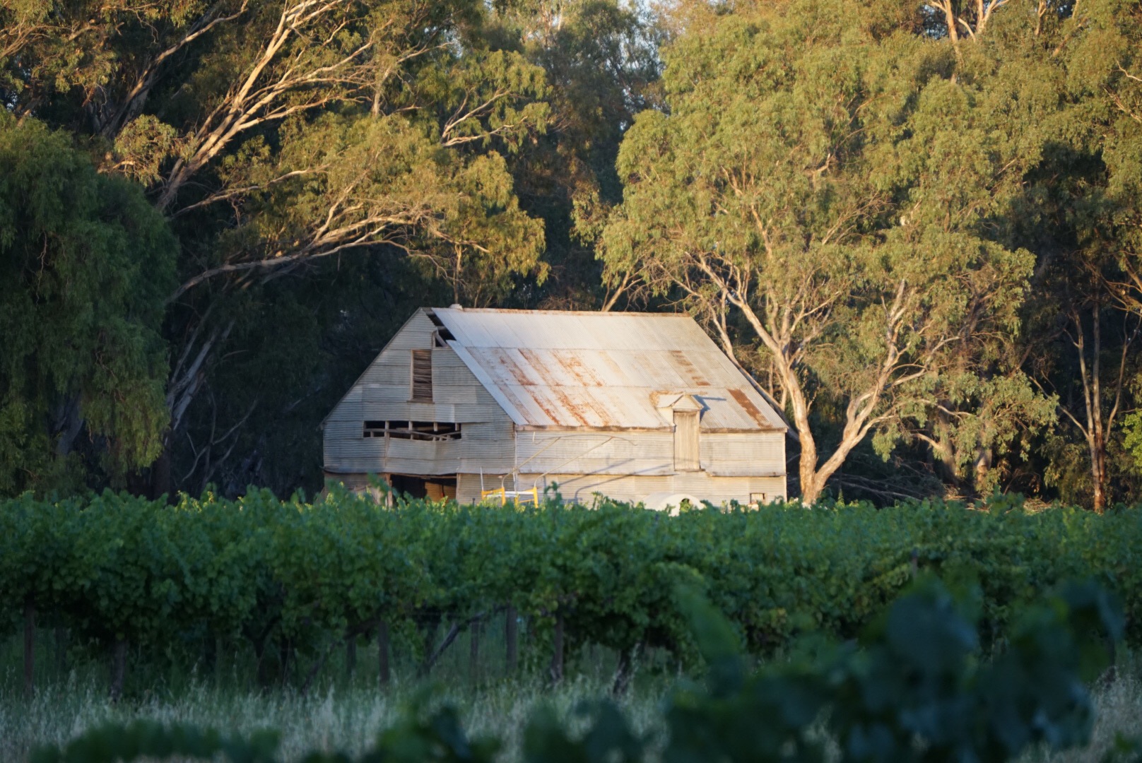 Old barn