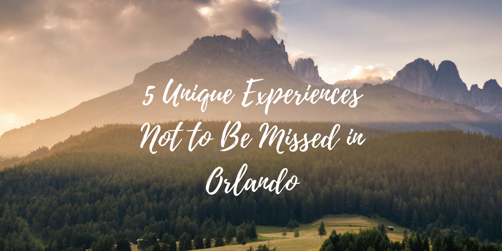 5 Unique Experiences Not to Be Missed in Orlando