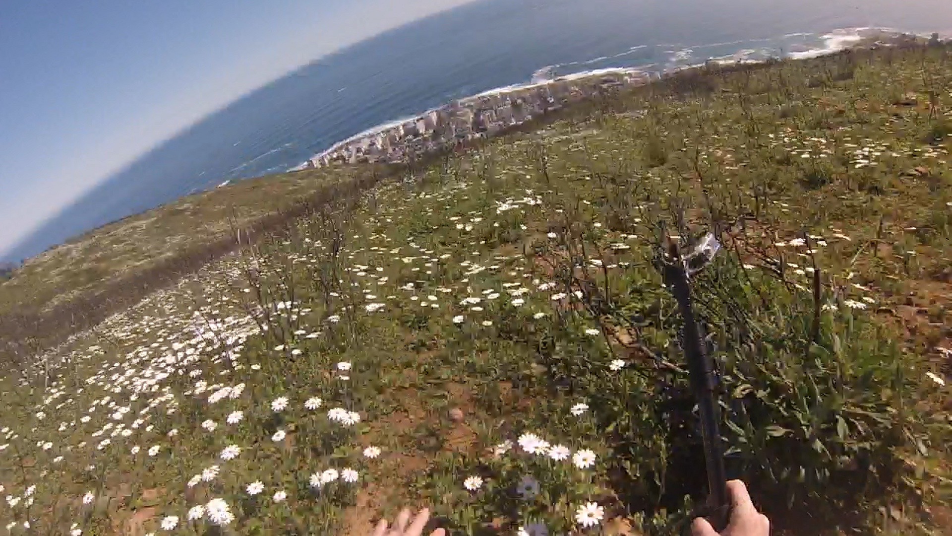 Paragliding Cape Town 2