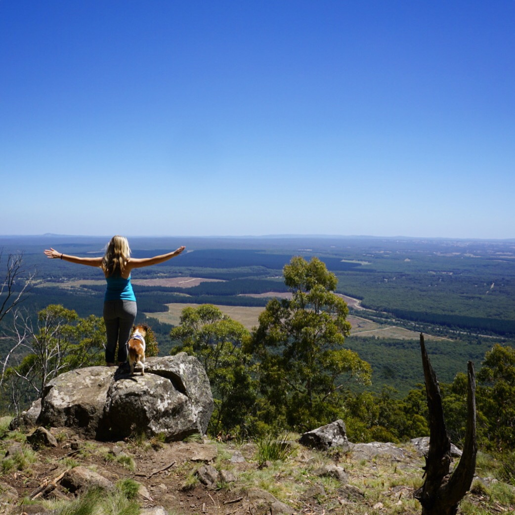 Hiking Traveling Honeybird