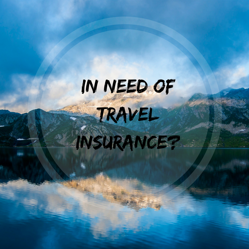 Travel Insurance Traveling Honeybird