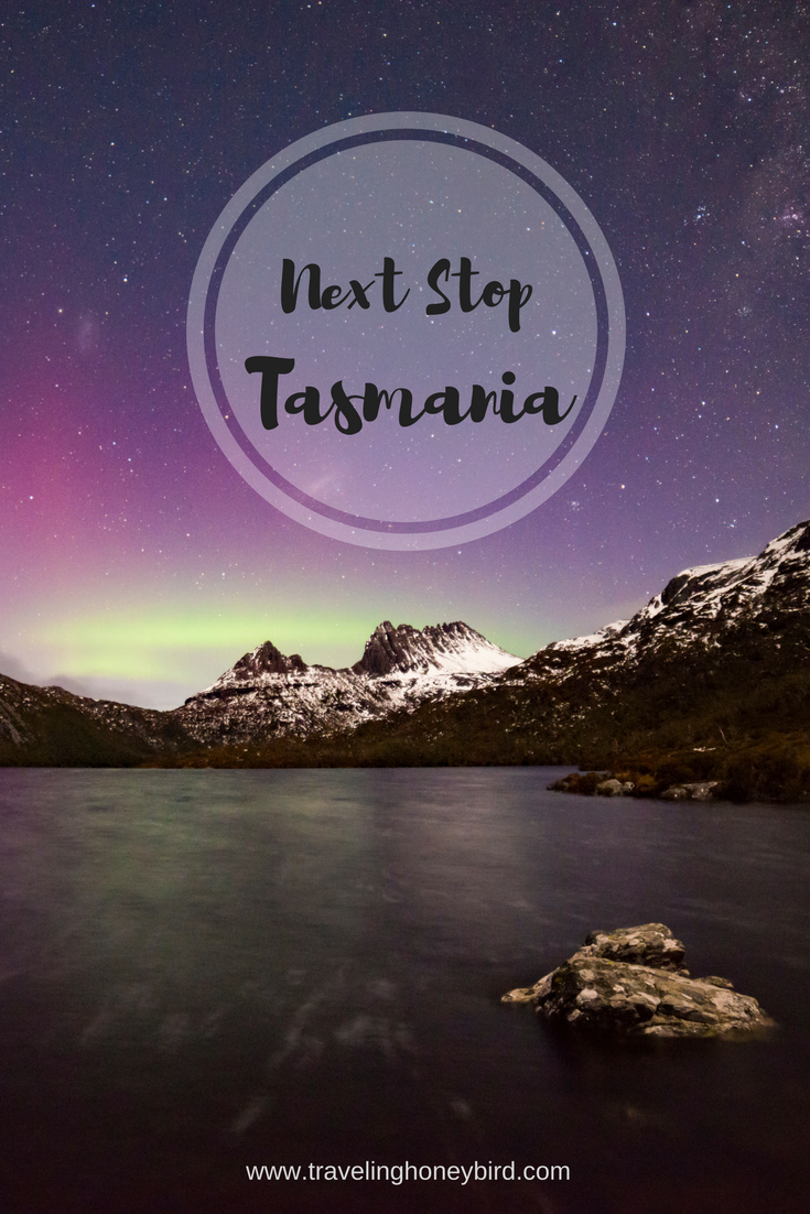 Next Stop Tasmania || Traveling Honeybird