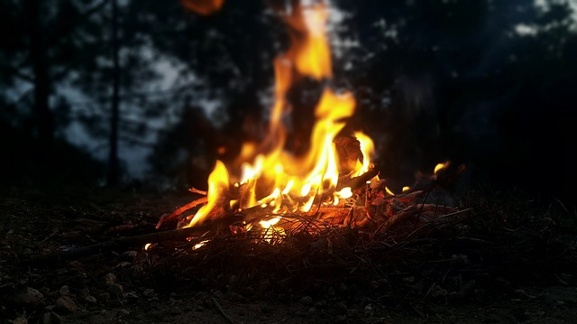 Simple Pleasures of Campfire Cooking