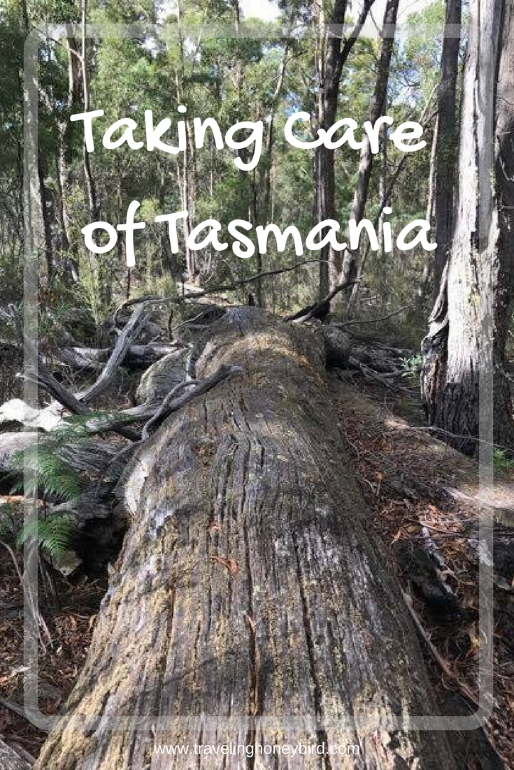 Taking Care of Tasmania