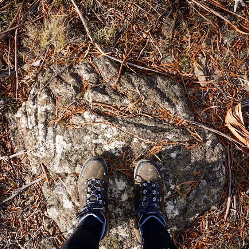 Taking Care of Tasmania || Traveling Honeybird Taking Care of Tasmania || Traveling Honeybird