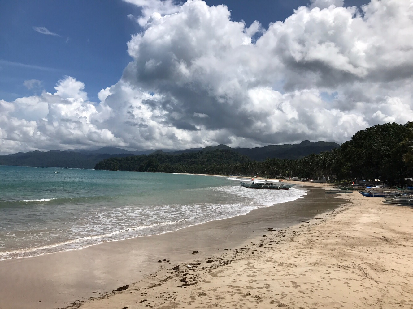 Palawan Philippines Traveling Honeybird