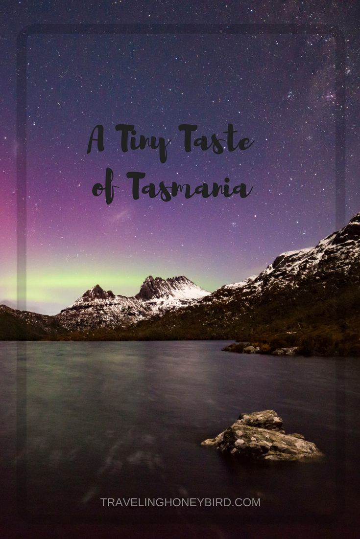 A Tiny Taste of Tasmania || Traveling Honeybird