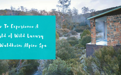 How To Experience A World of Wild Luxury At Waldheim Alpine Spa