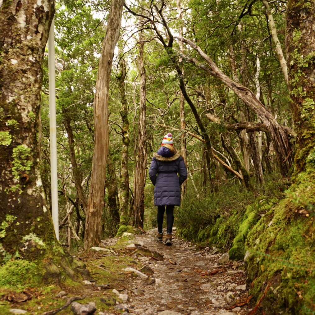 Dove Lake hike