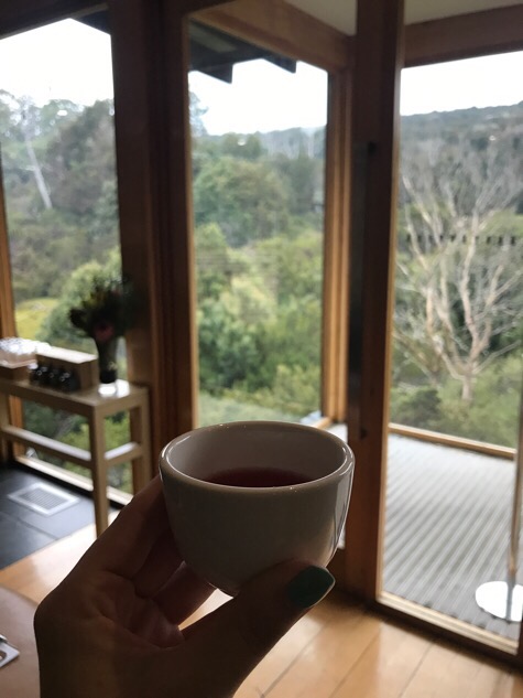 How To Experience A World of Wild Luxury At Waldheim Alpine Spa How To Experience A World of Wild Luxury At Waldheim Alpine Spa