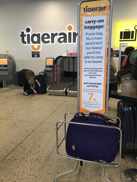 TIgerAir check in || Traveling Honeybird