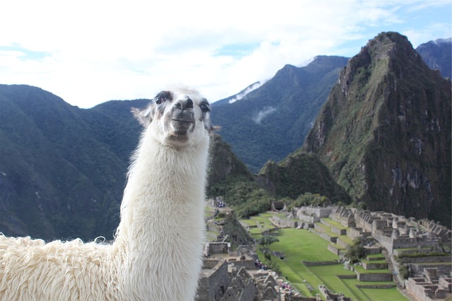 To Tour or Not To Tour? A Travellers Dilemma To Tour or Not To Tour? A Travellers Dilemma