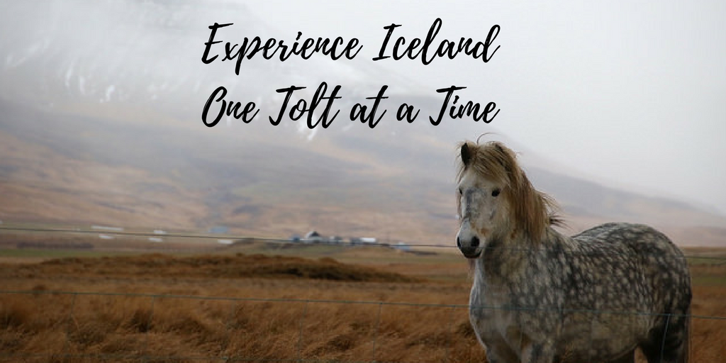 Experience Iceland One Tolt at a Time