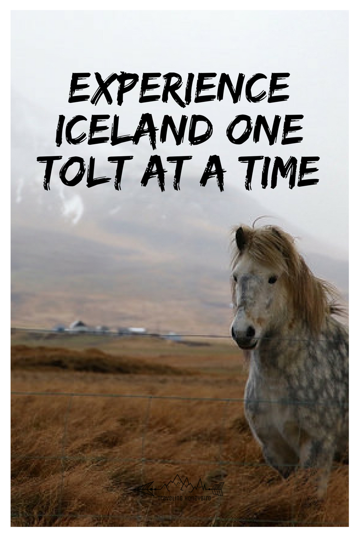 Experience Iceland One Tolt at a Time