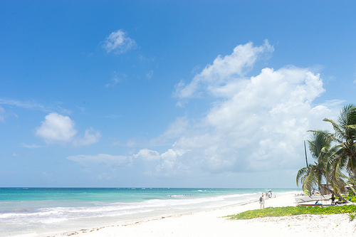 Mexican beach Traveling Honeybird