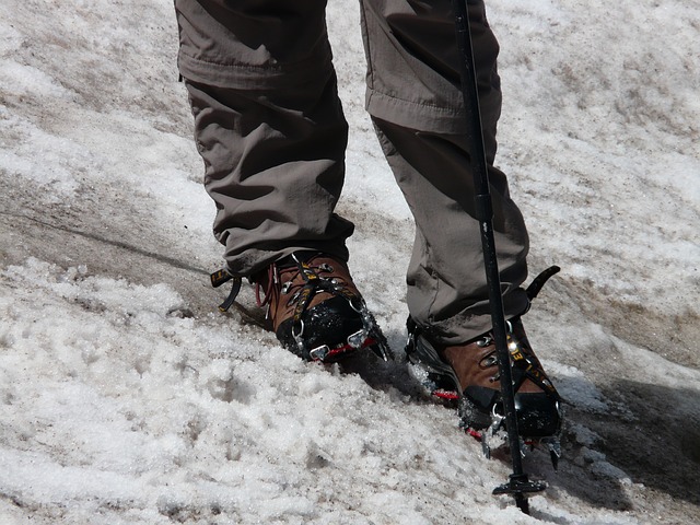 Hiking Pants Five things I never travel with || Traveling Honeybird Hiking Pants Five things I never travel with || Traveling Honeybird
