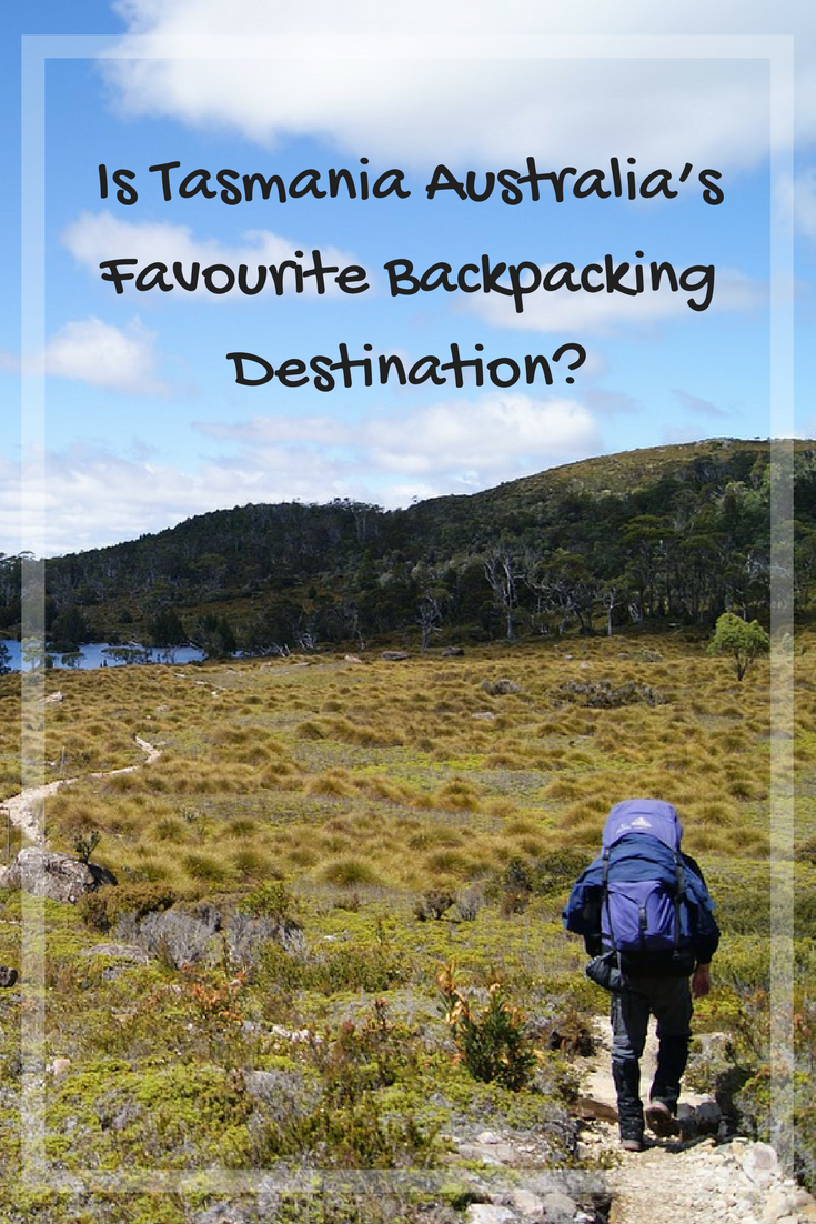 Backpacking Tasmania || Traveling Honeybird