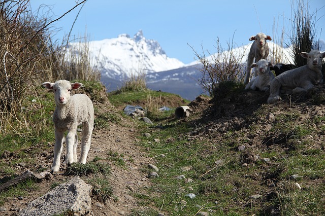 Hiking in Patagonia Traveling Honeybird