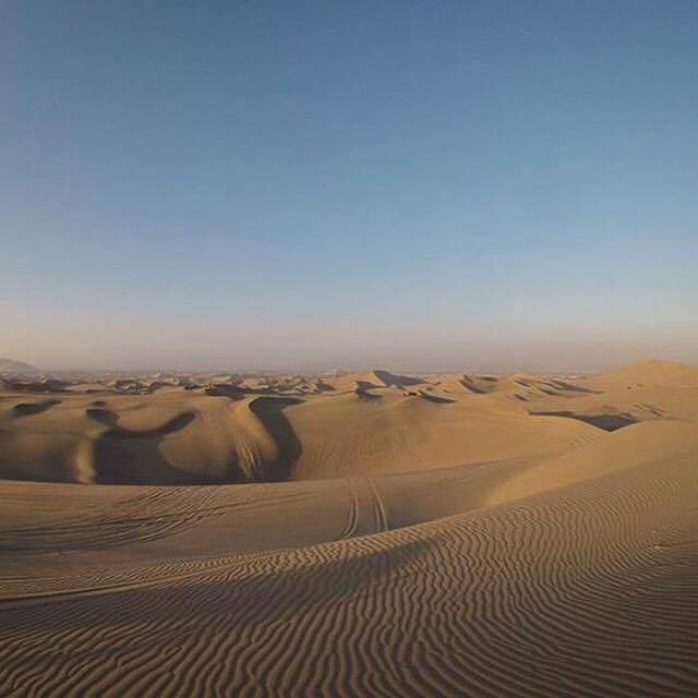 Huacachina Traveling Honeybird