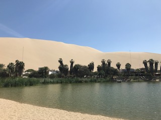 Huacachina Oasis Traveling Honeybird