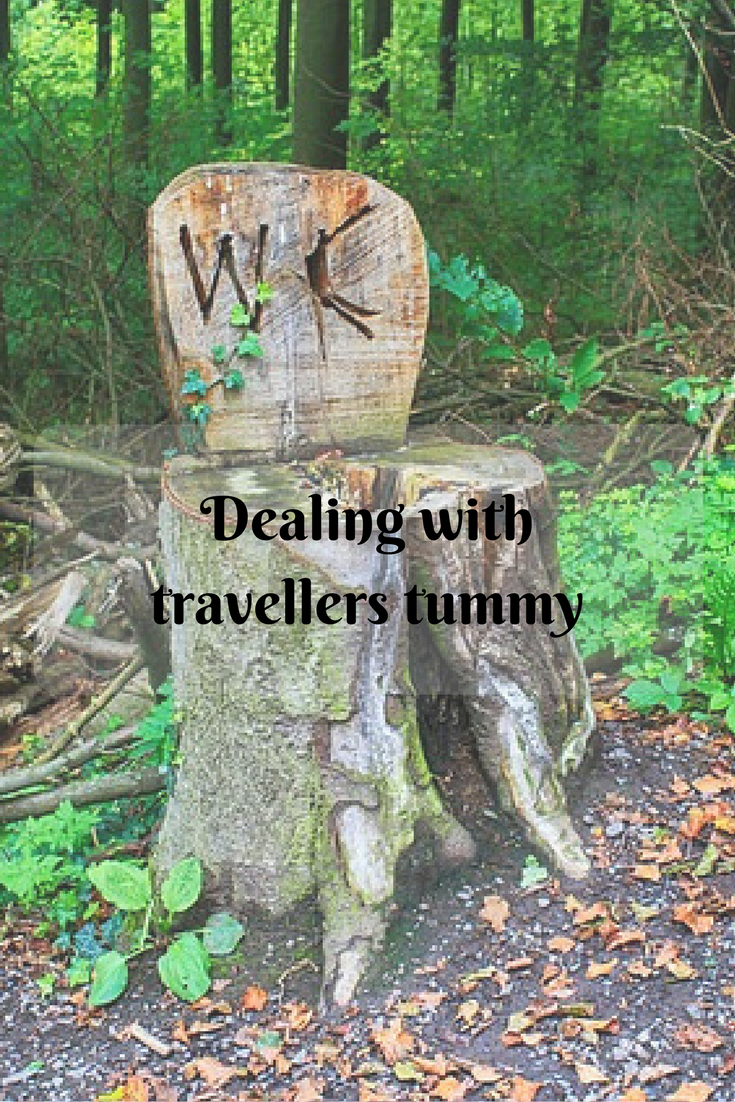 Dealing with travellers tummy || Traveling Honeybird