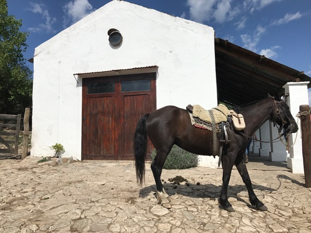 Stables at Los Potreros