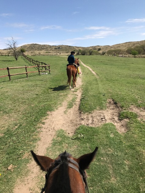 Horse riding at Los Potereros