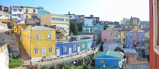 Valparaiso Traveling Honeybird