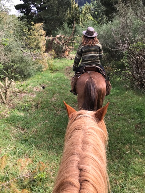 Horse riding Pucon